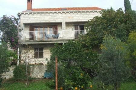 Apartmán Honey Bee Cavtat Exteriér fotografie