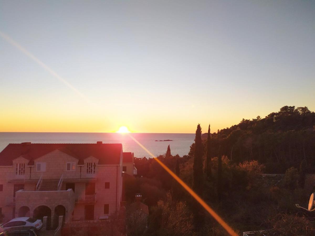 Apartmán Honey Bee Cavtat Exteriér fotografie