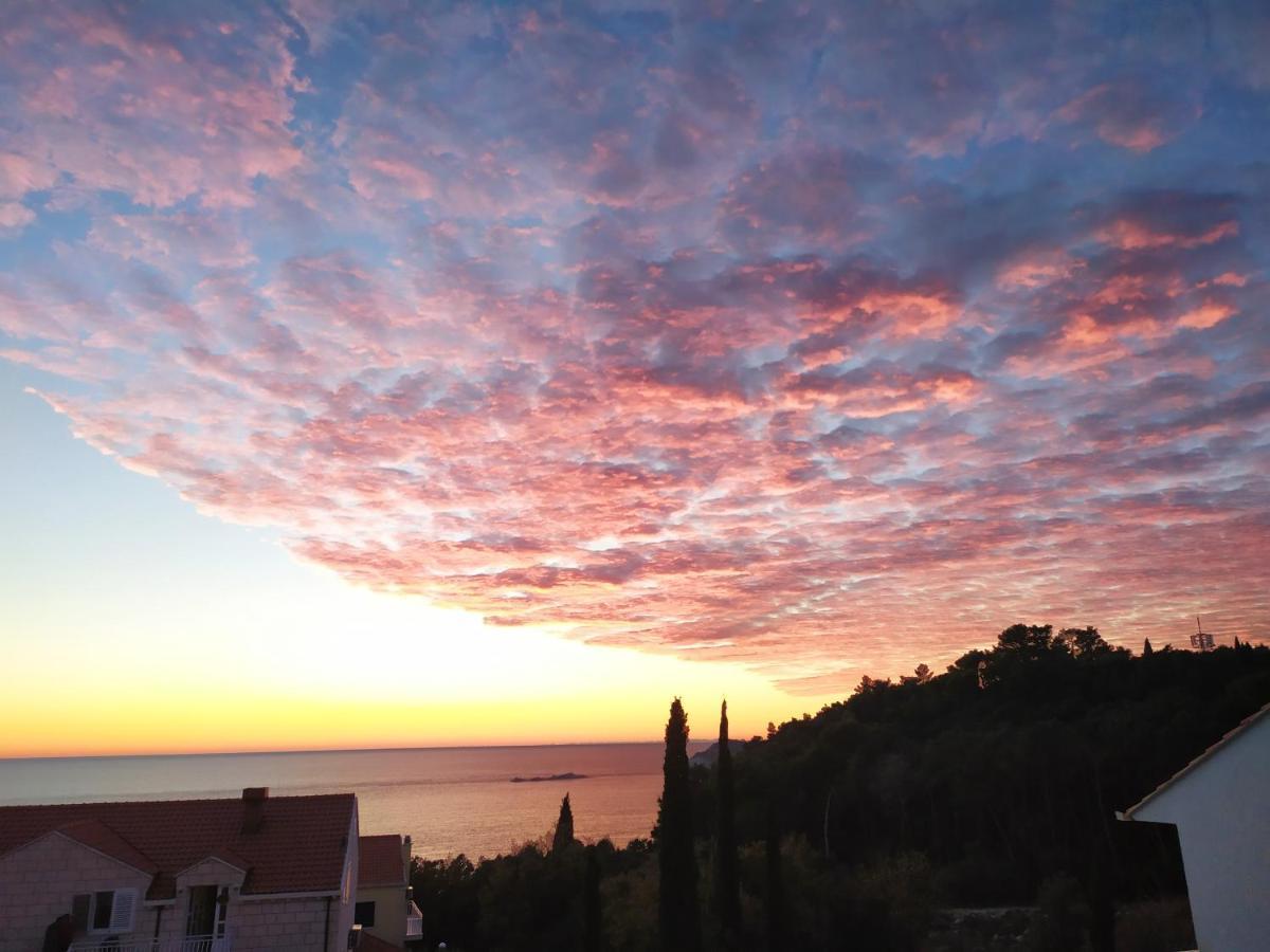 Apartmán Honey Bee Cavtat Exteriér fotografie