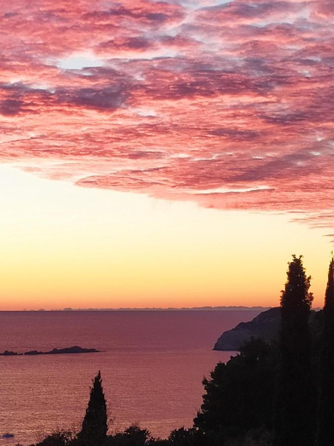 Apartmán Honey Bee Cavtat Exteriér fotografie